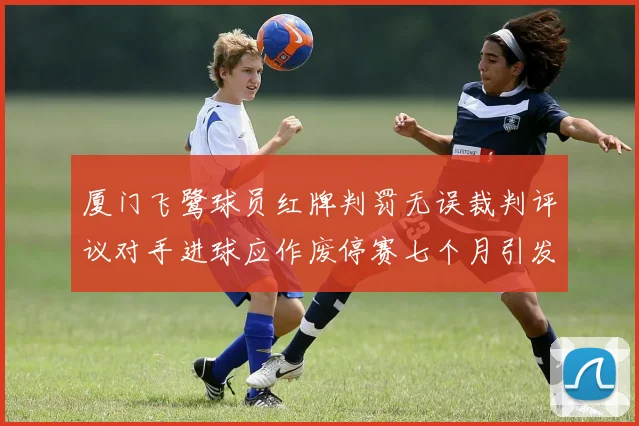 厦门飞鹭球员红牌判罚无误裁判评议对手进球应作废停赛七个月引发热议