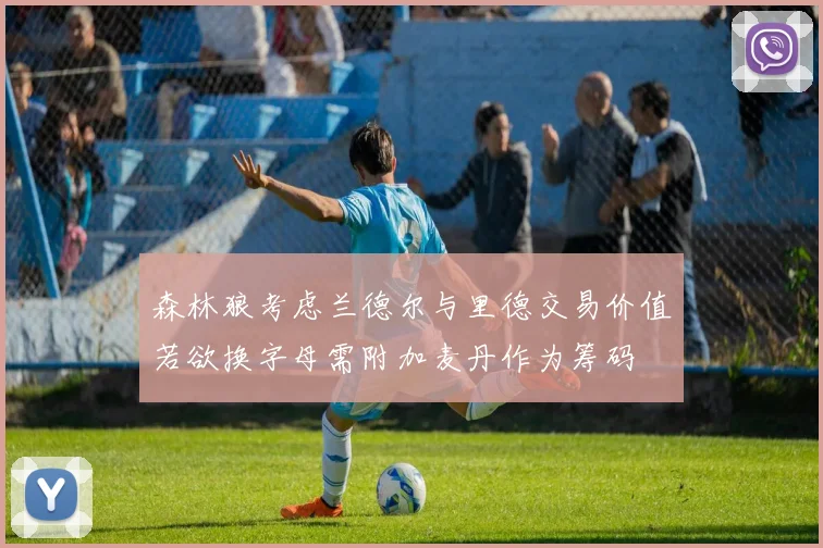 森林狼考虑兰德尔与里德交易价值若欲换字母需附加麦丹作为筹码